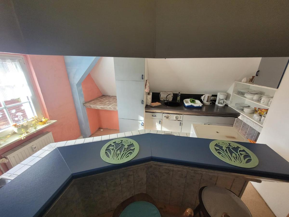 Stedtfeld Casa Carolina Rumanisches Restaurant & Pension المظهر الخارجي الصورة